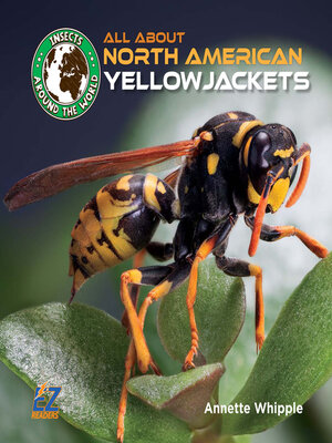cover image of All About North American Yellowjackets
